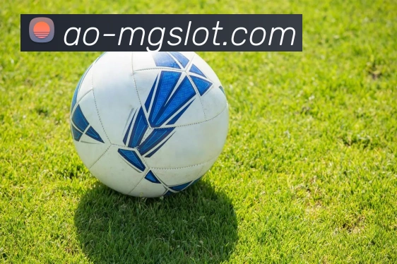 MG电子模拟器官网平台生态图